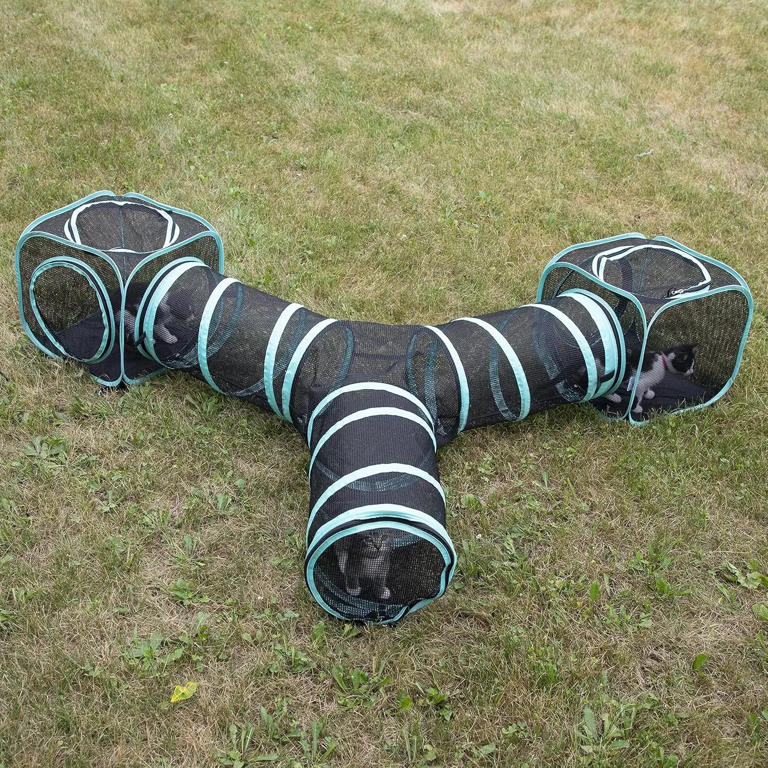 

Outdoor Catio Furniture and Play Kits for Cats, Three Way Tunnel