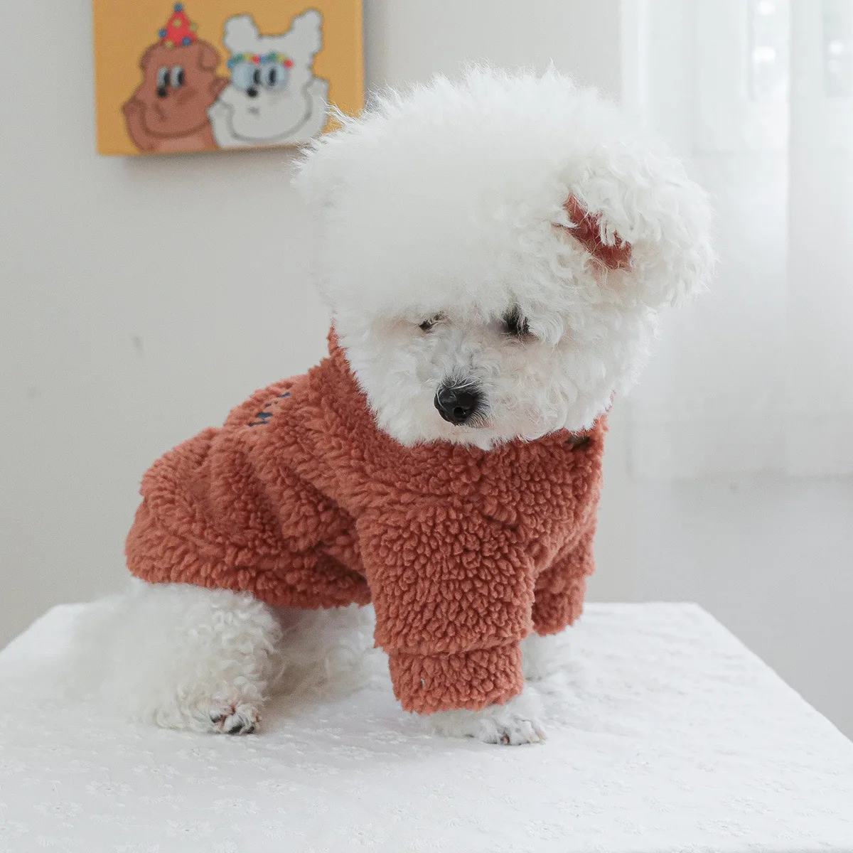 New pet clothes, dog and cat clothing accessories, with thick velvet New York starlight jacket