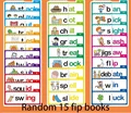 Random 15 fip books