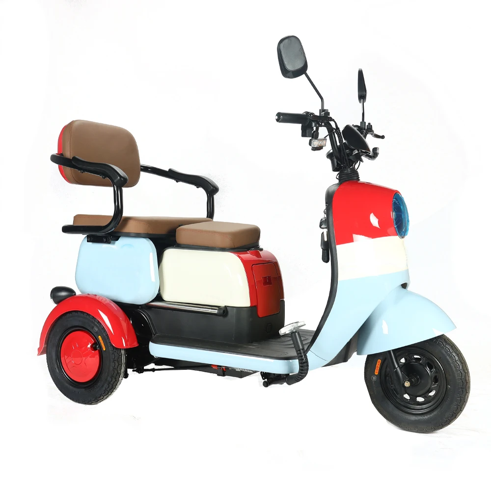 

2024 New 650W Electric Tricycle Family Use Cargo Ebike 3 Wheel Electric Passenger Tricycle