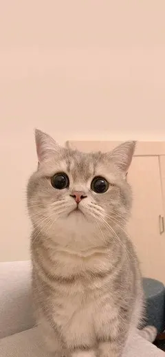 

Replacement Battery for Xiaomi Dreame G9 G10 R10 Cordless Vacuum Cleaner, Long Runtime Stick Vacuum Accessories Li-ion Battery