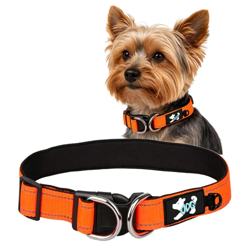 Collar para Perro Reflectante y Acolchado con Doble Anillo en D para Distribución de la Fuerza, Apto para Perros Pequeños y Medianos