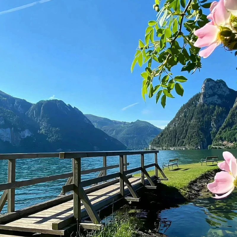 GEPRC MATEN 5.8G 2.5W VTX - 72CH 7 - 36V FPV RC 송신기 (피트 모델 포함)