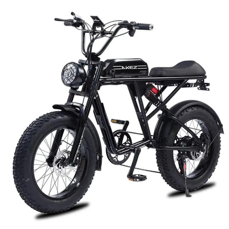 High Quality 750W 13Ah Rear Hub Motor Disc Brake Lithium Battery Electric Bike 45km/h for Travel
