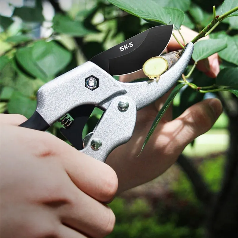 Coltello da taglio per potatura da giardino da 20cm cesoie da potatura per piante da agricoltura professionale forbici da innesto forbici per alberi