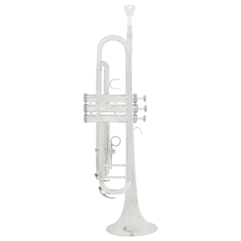 

Тромбон в тональности Си-бемоль, импортный, из латуни, посеребренный, с тканевым чехлом, для начинающих, взрослых, профессиональных выступлений