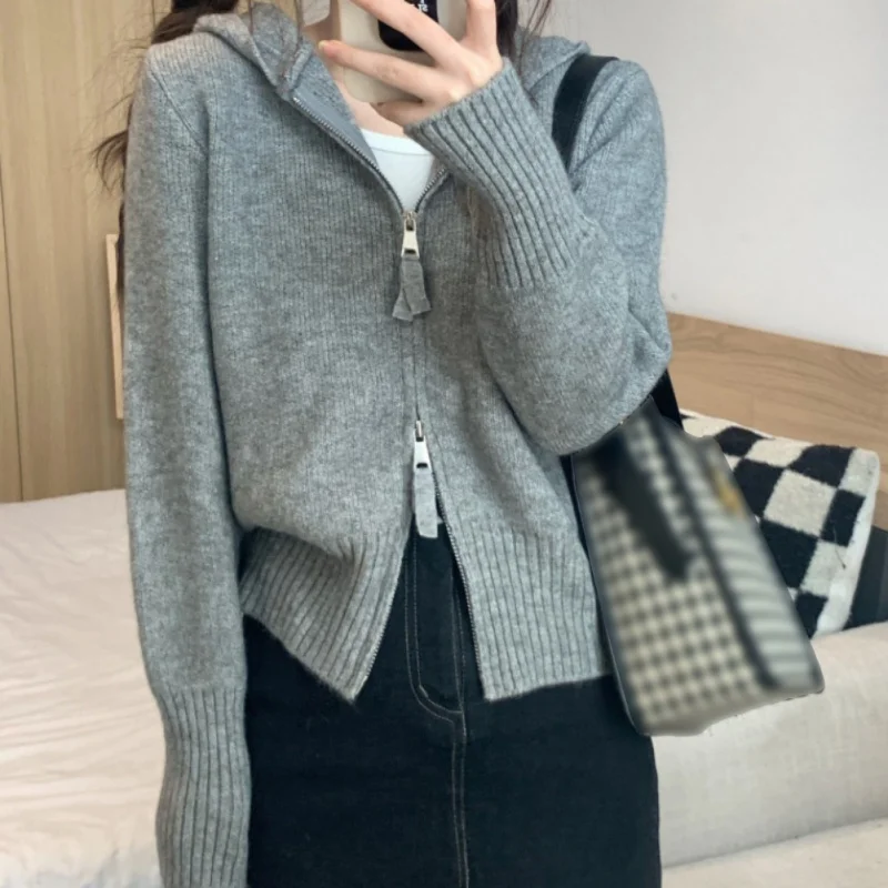 

Knitted Hooded Cardigan For Women Minimalist Style Sweater Long-Sleeved Short Tops Jacket Spring Autumn Casual