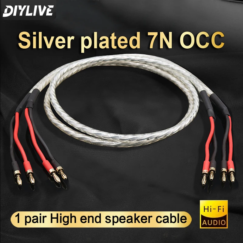 DIYLIVE A Pair of HIFI Silver-Plated Speaker Cables for Sound Systems High-End 7N OCC Speaker Cab0les