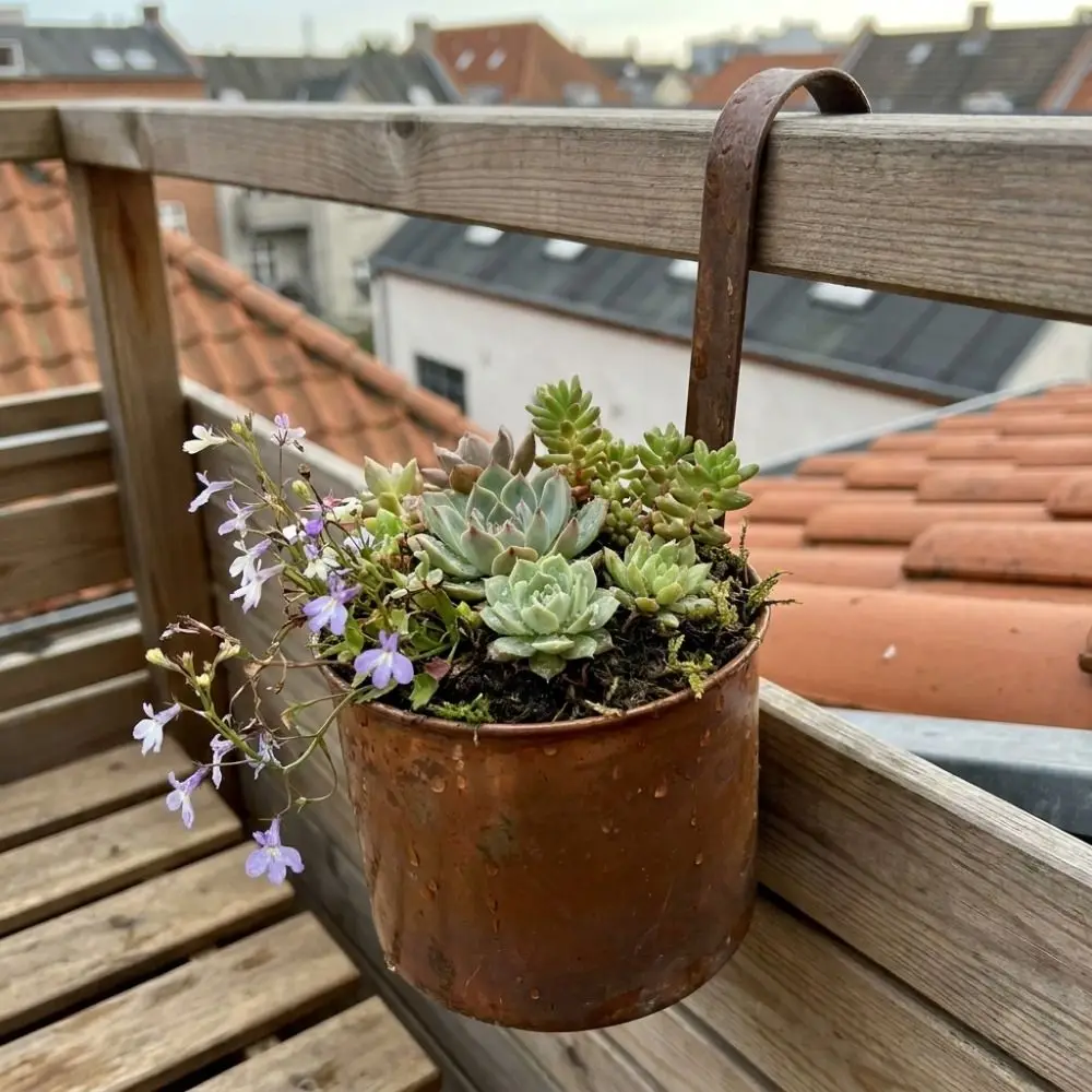 Handcrafted Wall Hanging Flower Bucket Antique Styles Rusted Iron Hanging Flowerpot Weather-Resistant Unique