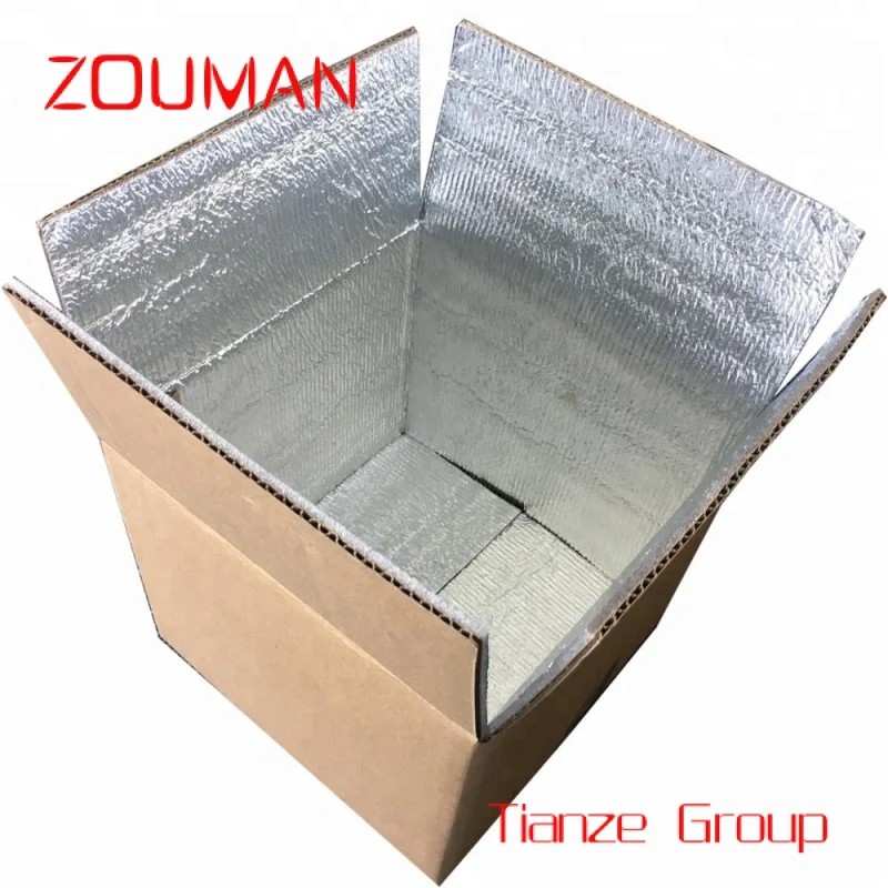 Custom , Insulated Foam Corrugated Aluminum Foil Transport Box Cold Shipping Packaging Thermal insulated Box