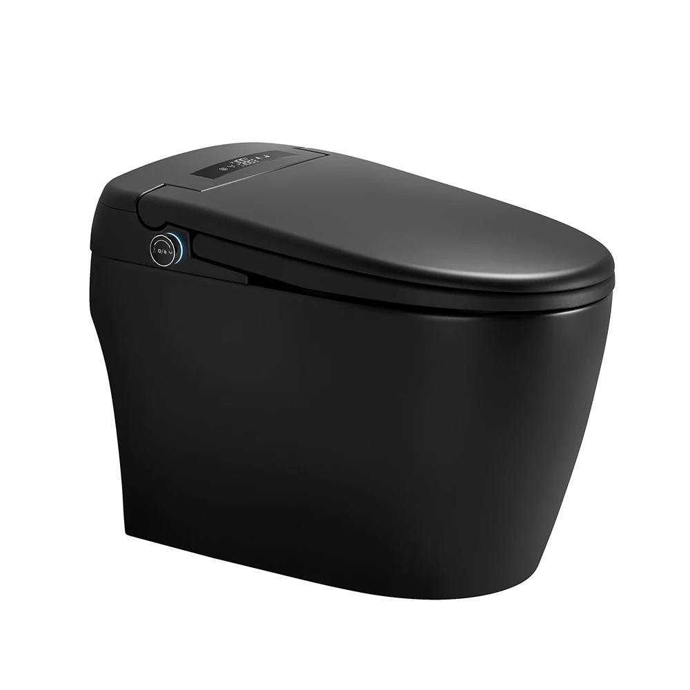 

High Quality 110v Fully Automatic Electric Automatic Toilet Black