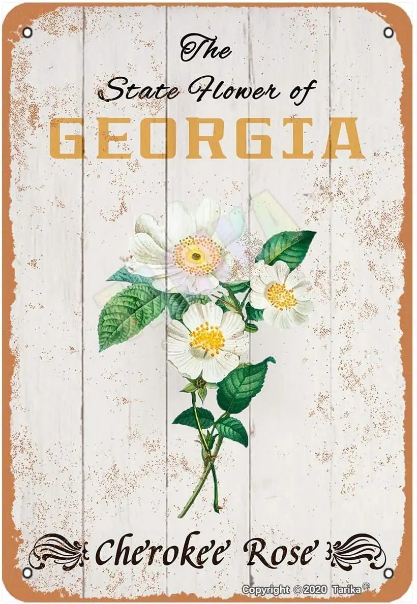 The State Flower Of… - image