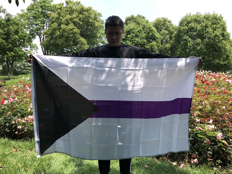 

SKY FLAG бесплатная доставка 90x150 см LGBTQIA Ace Community Демиасексуальность asexual Pride демисексуальный флаг полиэстер для украшения