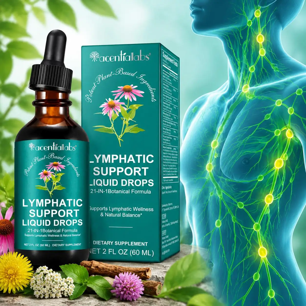 Lymphatic Support Drops Promote Lymph Flow & Immune Health & Metabolic Balance & Antioxidant Echinacea Burdock 60ml for Swelling