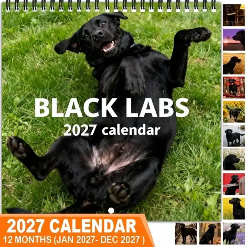 CORA Coil-Bound 2027 Wall Monthly Calendar with English Month and Weekday Labels, Animal Artwork, 12 Months From Jan 2027 to Dec
