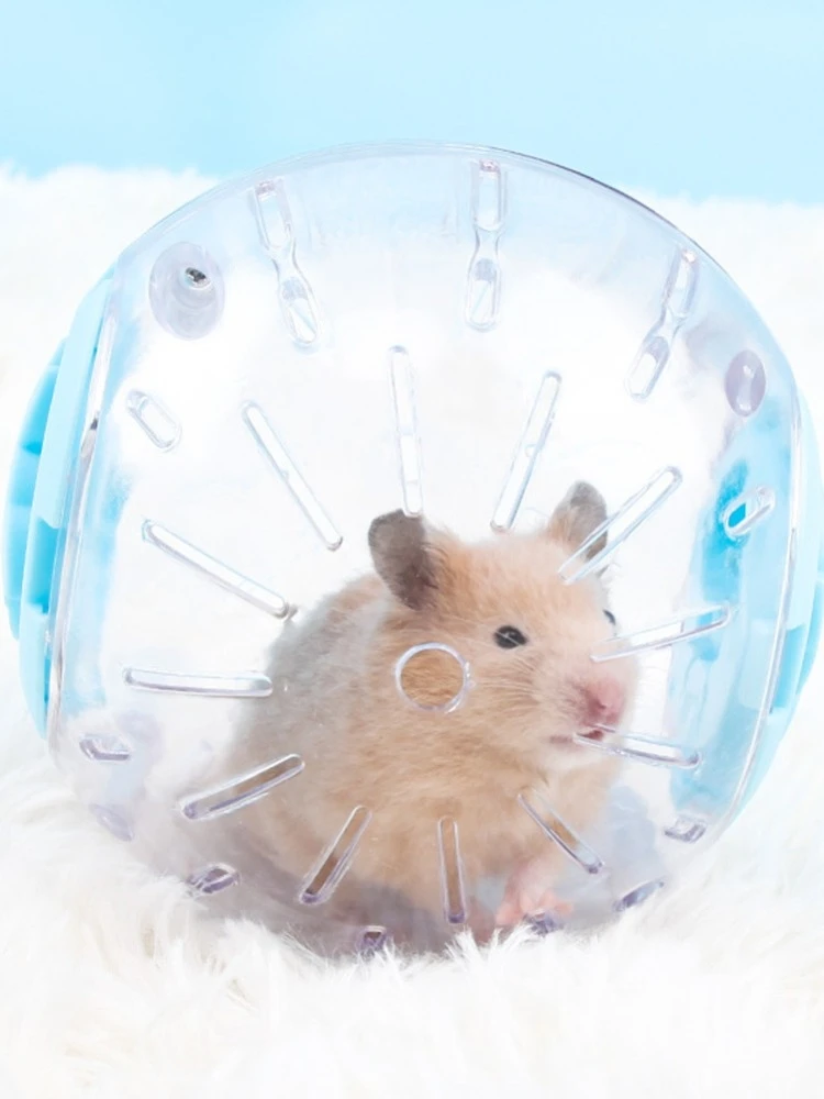 10/12 cm, Kunststoff-Sportball für Outdoor-Sport, Erdungsgerät, Ratte, kleines Haustier, Joggingball, Hamster, Rennsport-Übungsball, Spielspielzeugzubehör – Detail 3