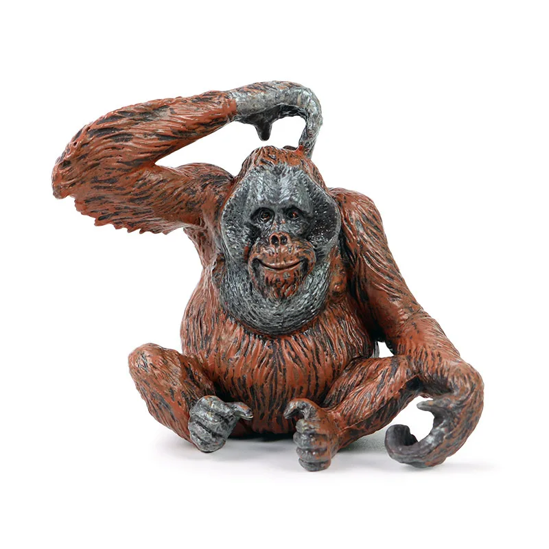 

Simulation solid static zoo model orangutan monkey orangutan ape monkey children plastic doll ornaments