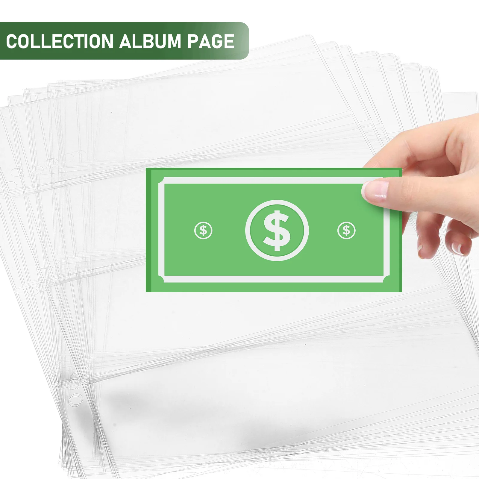 10Pcs Currency Collection Pages PVC Money Holder Album Inserts for Banknote Storage Organizer Money Hiders Page for Cash
