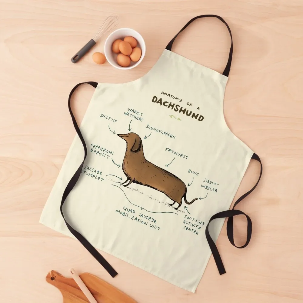 Anatomy of a Dachshund Apron Chef Uniform Woman For Man Haircut Chef Uniform Men's Kitchen Apron