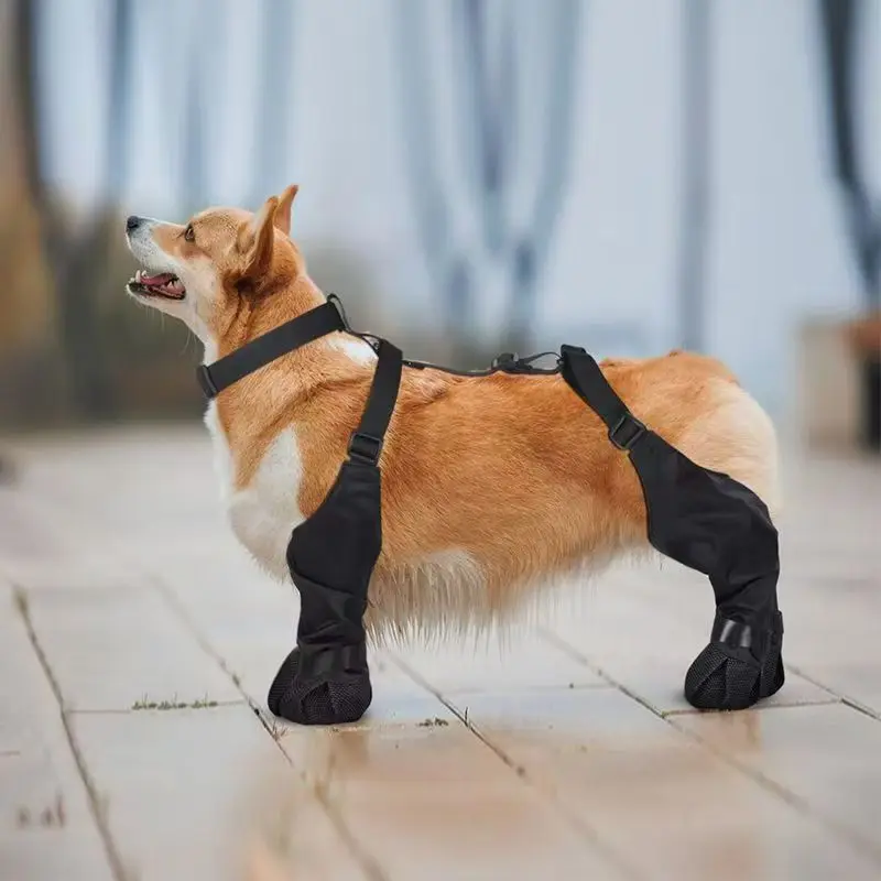 Thumbnail 3 - #86 Best Dog Boots to Buy In 2026