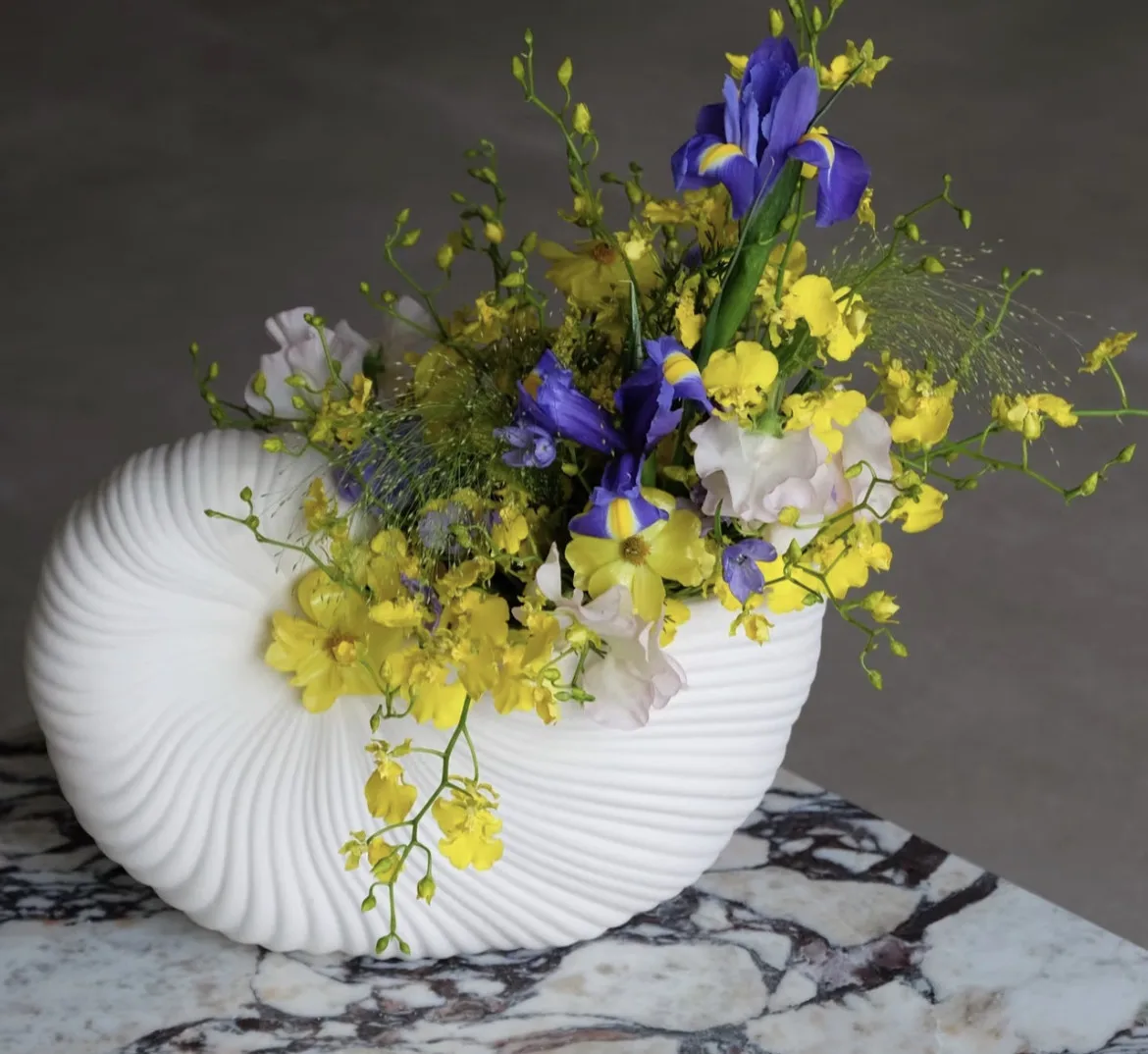 vase-a-fleurs-de-style-nordique-decoration-d'interieur-ornement-en-ceramique-en-forme-de-coquille