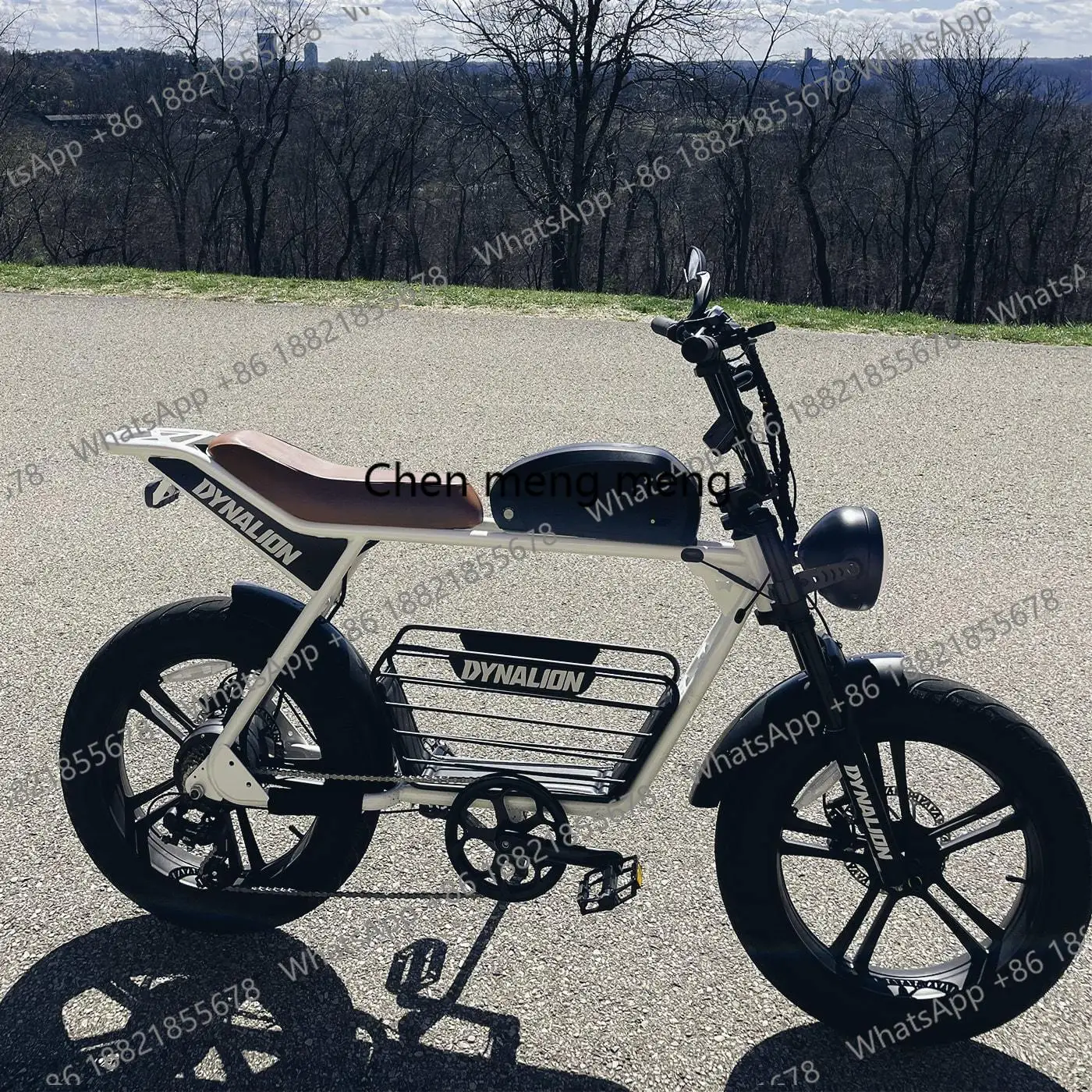 Manufacturers OEM Hybrid Custom Sport ODM Fat Tire Dirt E-bike 20 Inch Velo Electrique New Model Road  Electric Bikes