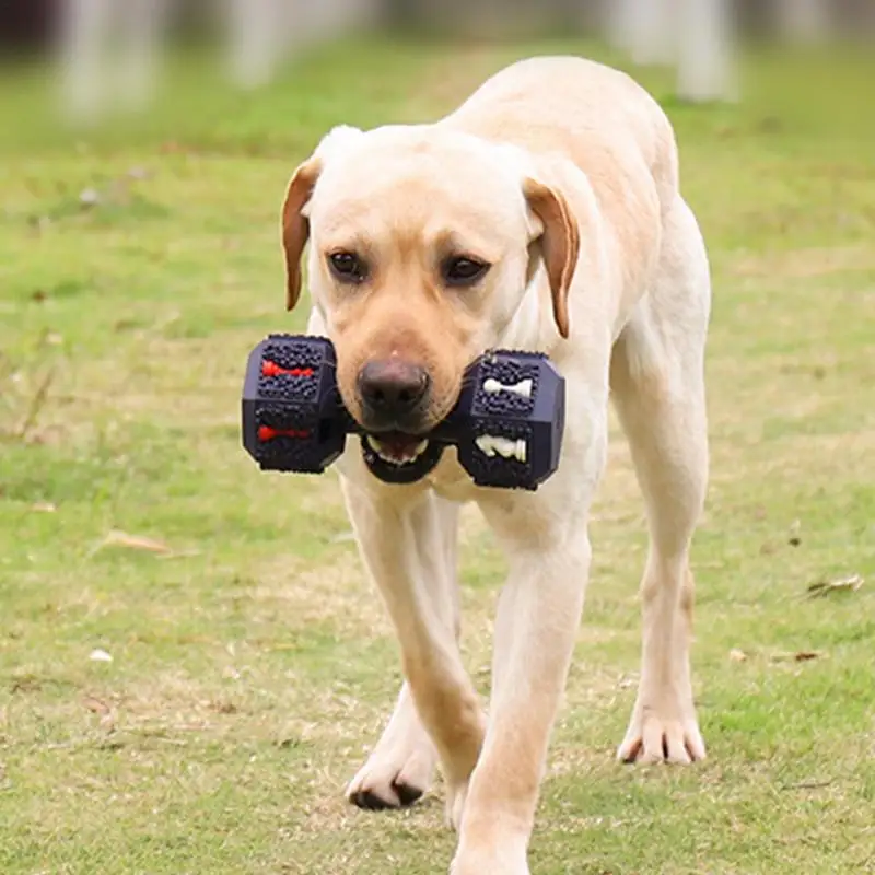 

Dog Treat Dispenser Toy Interactive Dog Dumbbell Chew Toy Dog Teething Toys For Large Medium Dogs Dog Enrichment Toys For Indoor