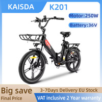 KAISDA K201 Adult Women Electric Bike 250W Motor Electric Bike 36V10.4Ah Battery 20 Inch Rubber Tire Mountain Snow Electric Bike