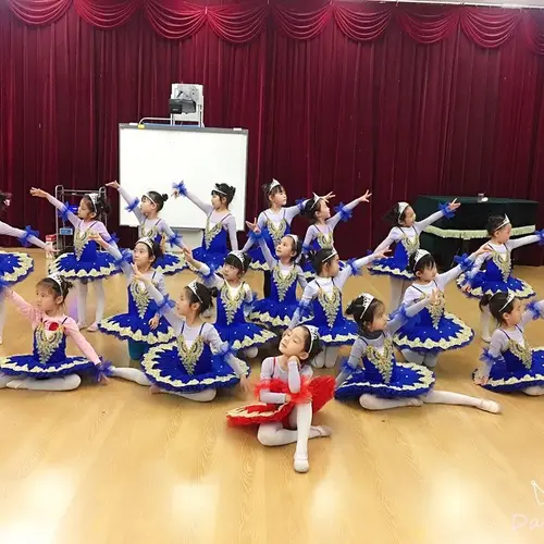 Imagen 2 del producto Tutú de Ballet profesional clásico para niños y adultos, tutú de panqueque con lago de los cisnes blancos, trajes de baile para fiesta de bailarina, vestido de Ballet para niñas y mujeres