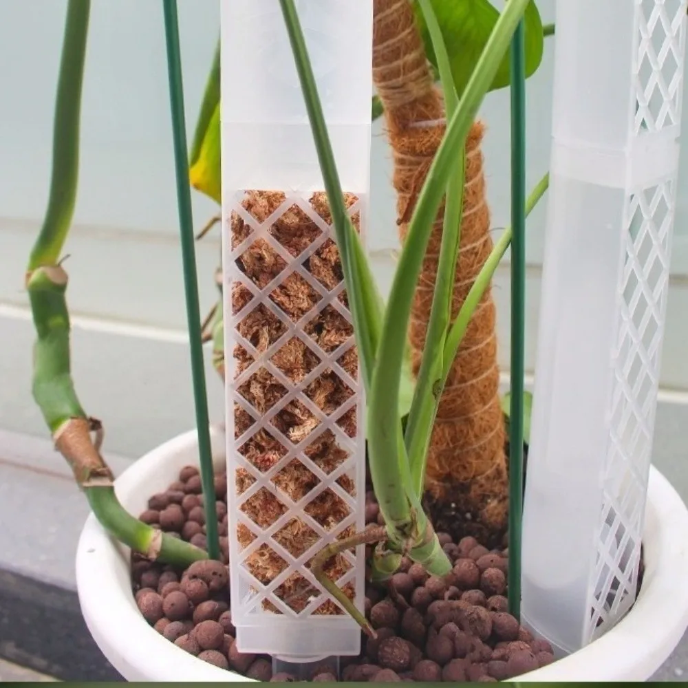 D-Shaped Self-Watering Plant Drip Plastic Adjustable Flow Rate Moss Column Pole Automatic Watering Plants Growth Stand view 4