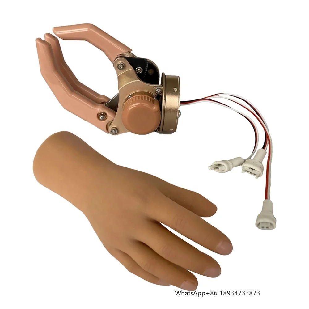 Prosthetic Implants Artificial Limb Myoelectric Half Hand Wrist Rotation Prosthetic Hand