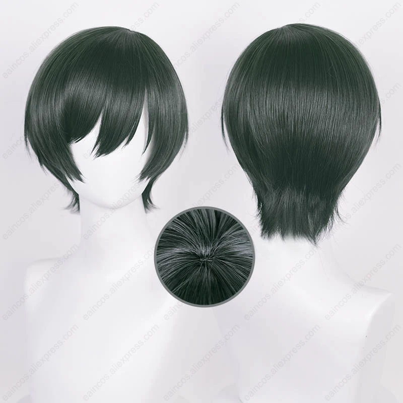 Anime Rin Itoshi/Sae Itoshi Cosplay Perücke 30cm kurze Perücken hitze beständige synthetische Haare Halloween Party