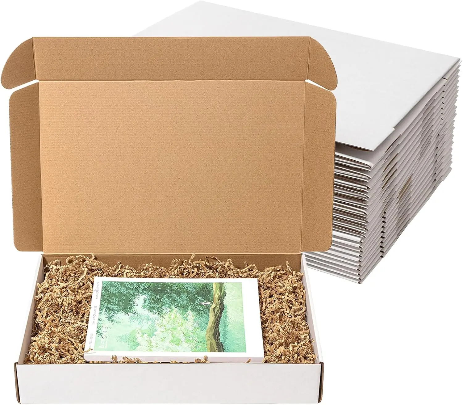 

20 Pack White Corrugated Cardboard Mailing Boxes, 17x11x3 Inches, Flat Literature Mailer for Small Business Packaging Supplies