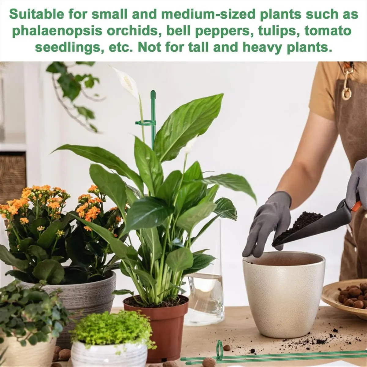 (LBER) Plant Stakes Sets, Plant Sticks with Connect Pipe for Indoor and Outdoor Plants, Green Adjustable Plant Support Stake