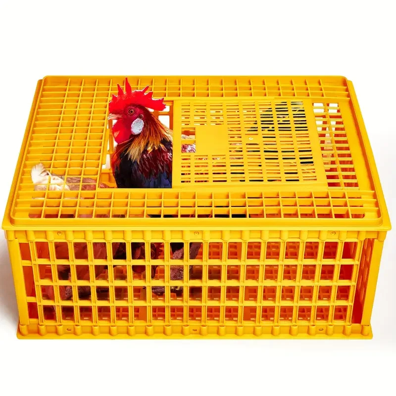 

Plastic Chicken Cage for Outside Movable Mesh Chicken Coops Chicken Coop Accessories for Goose Pigeon Chicks Birds