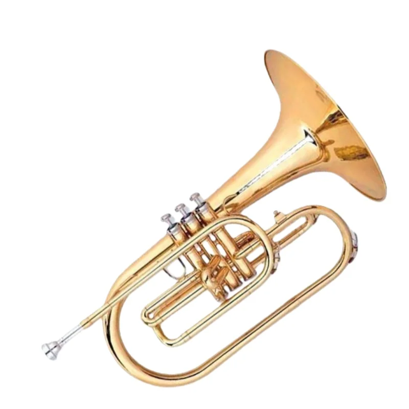 Marching Horn Melody Style Gold-Plated Bb Brass Body French Horn Baritone Range Smooth Valve Action Durable