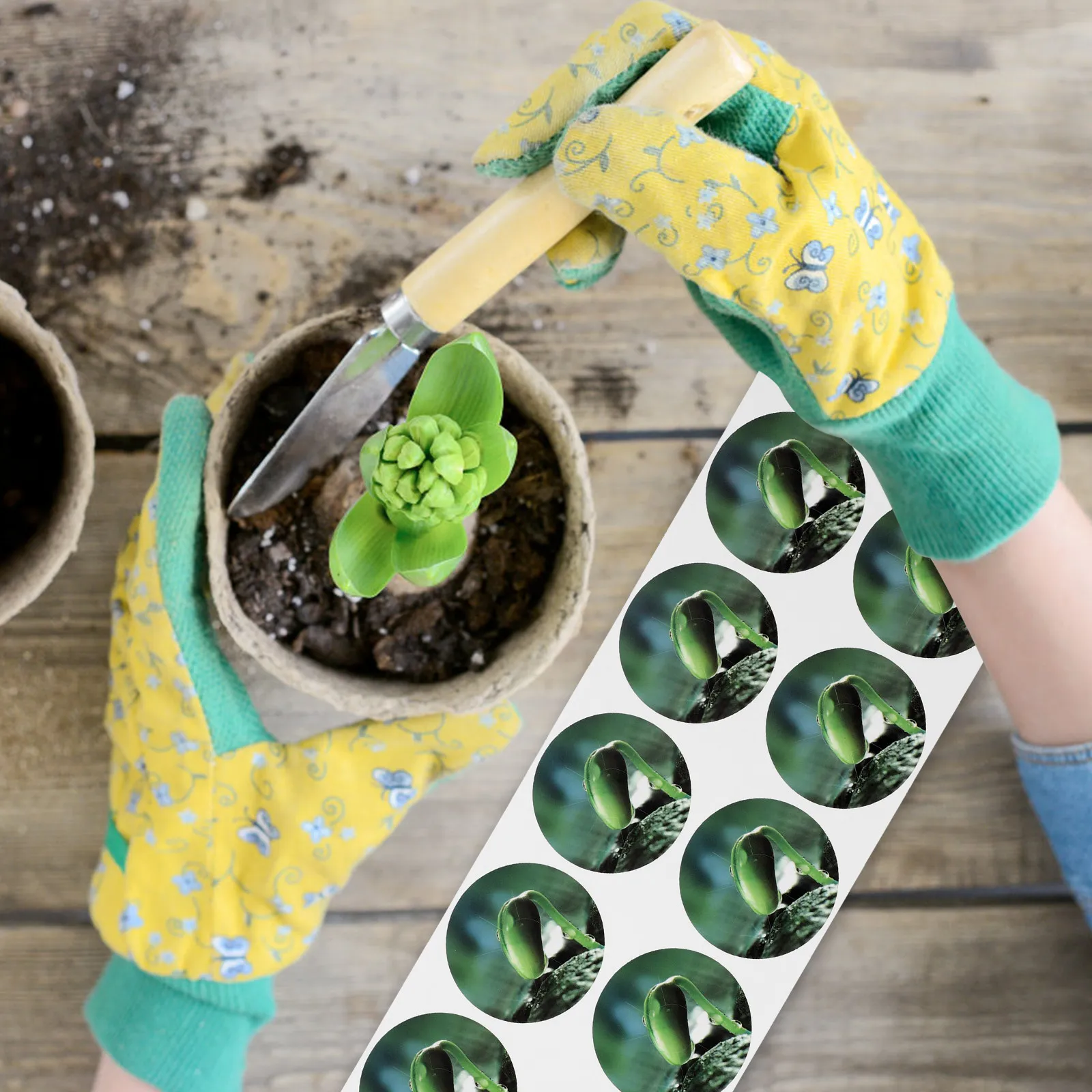 5Sheets Thick PVC Seed Pot Label Stickers Extra Sticky Waterproof for Hydroponic Plant Marking Garden Pots Seedling