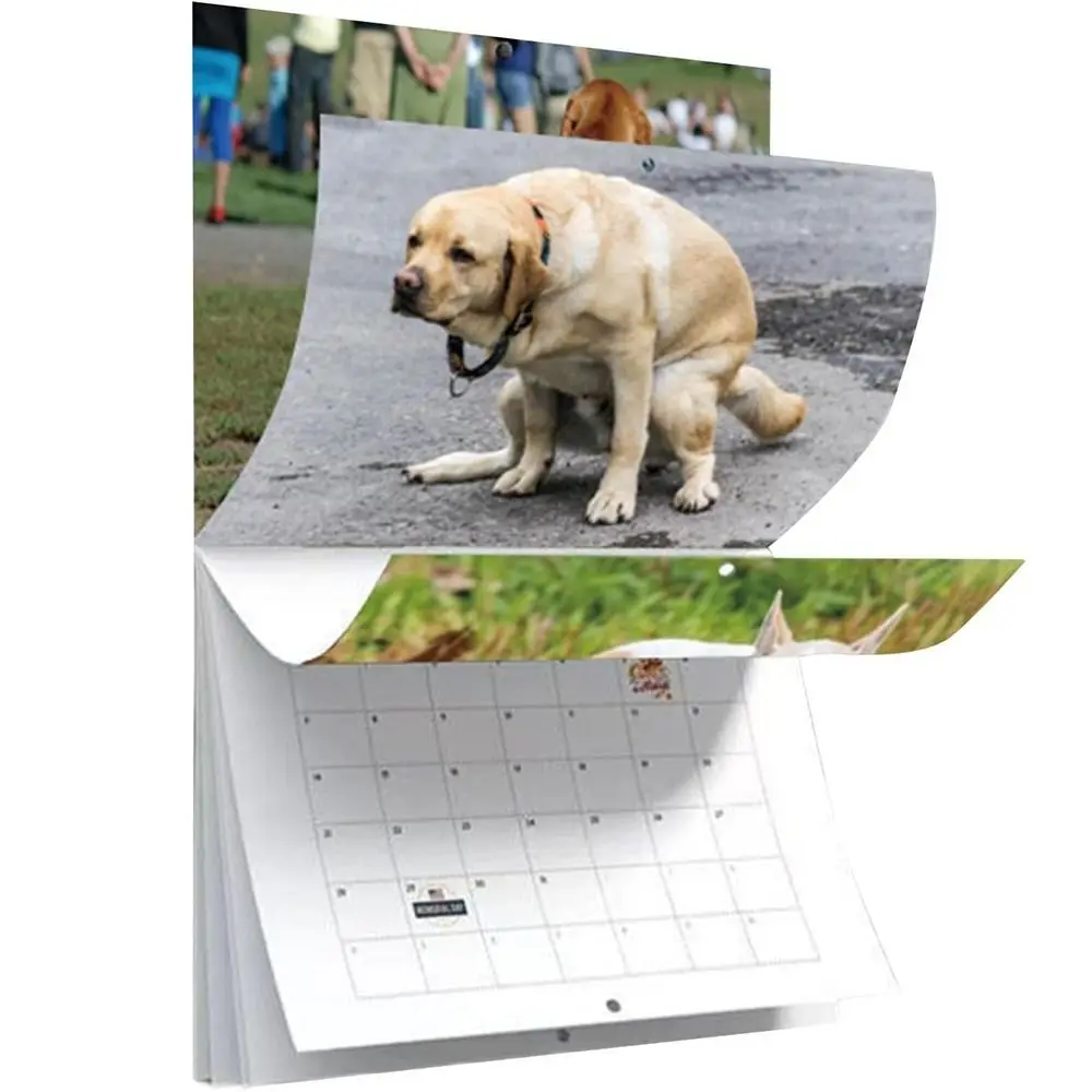 2025 Funny Dogs Pooping Calendar Daily Weekly Monthly Planner Creative Wall Calendar Funny Desktop Calendar Gift