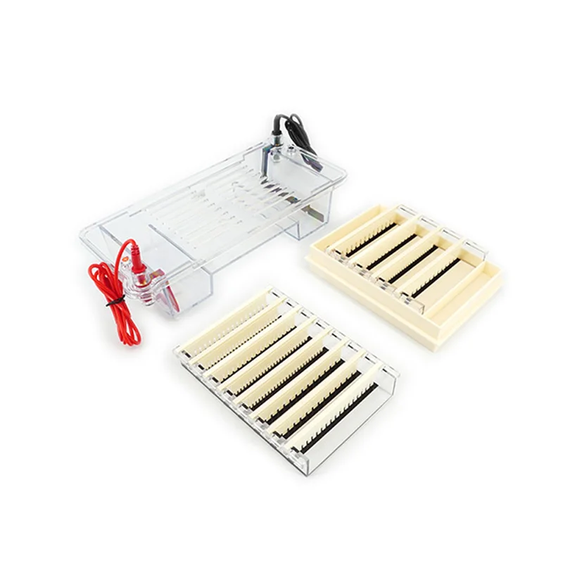 Agarose Horizontal Electrophoresis Instrument Is Suitable for Separating, Preparing DNA, and Determining Molecular Weight