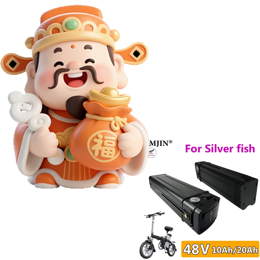 48V 10Ah Lithium-Ion Battery Pack Suitable for Silver Fish Rechargeable Battery Built in BMS system No memory effect