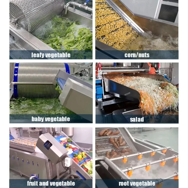 Industrial Fruit Vegetable Clean Line Commercial Custom Vegetable Fruit Corn Sorting Washing Blanching Air-Drying Machine