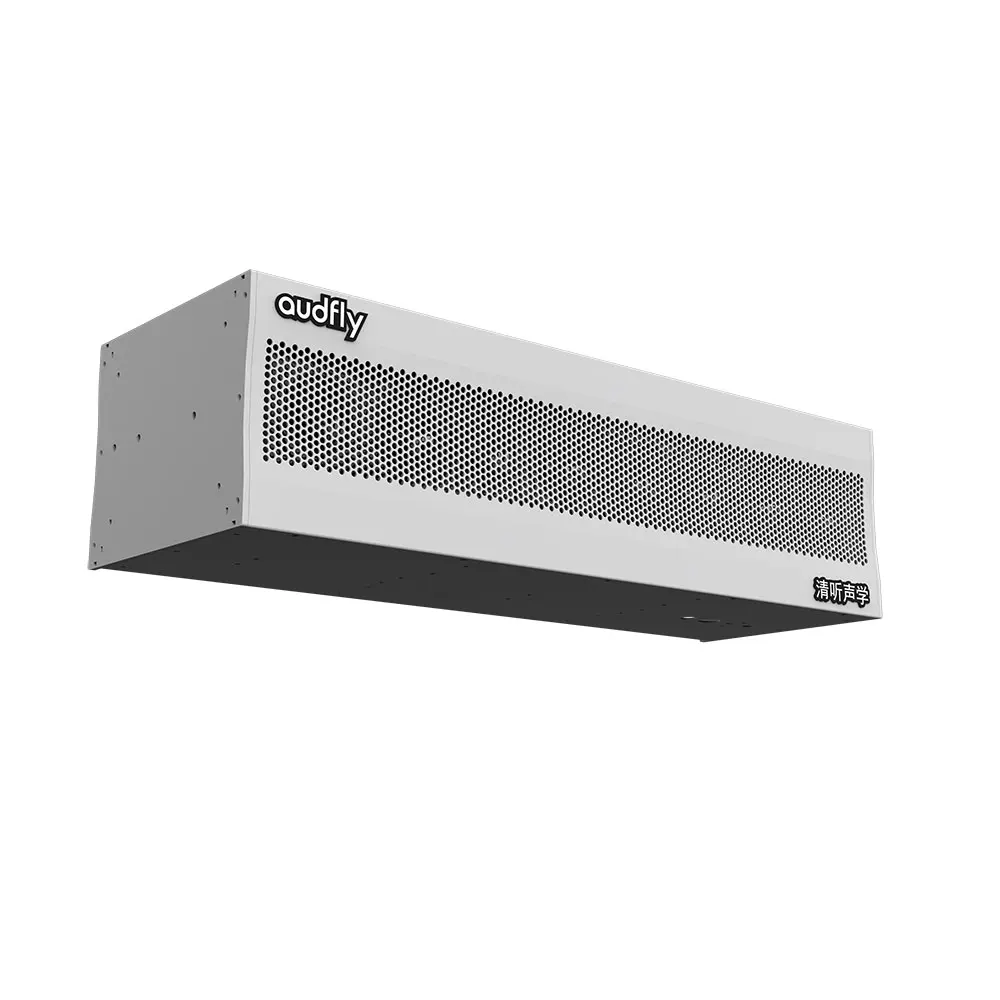 

Targeted Sound Projection Waterproof IPX6 Outdoor Line Array Directional Loudspeaker for Community-friendly Public Address