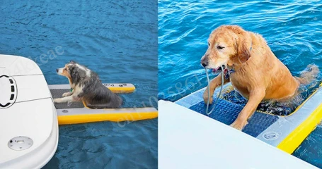 Dog float, pet water toys, double-deck dog ladders, inflatable slopes