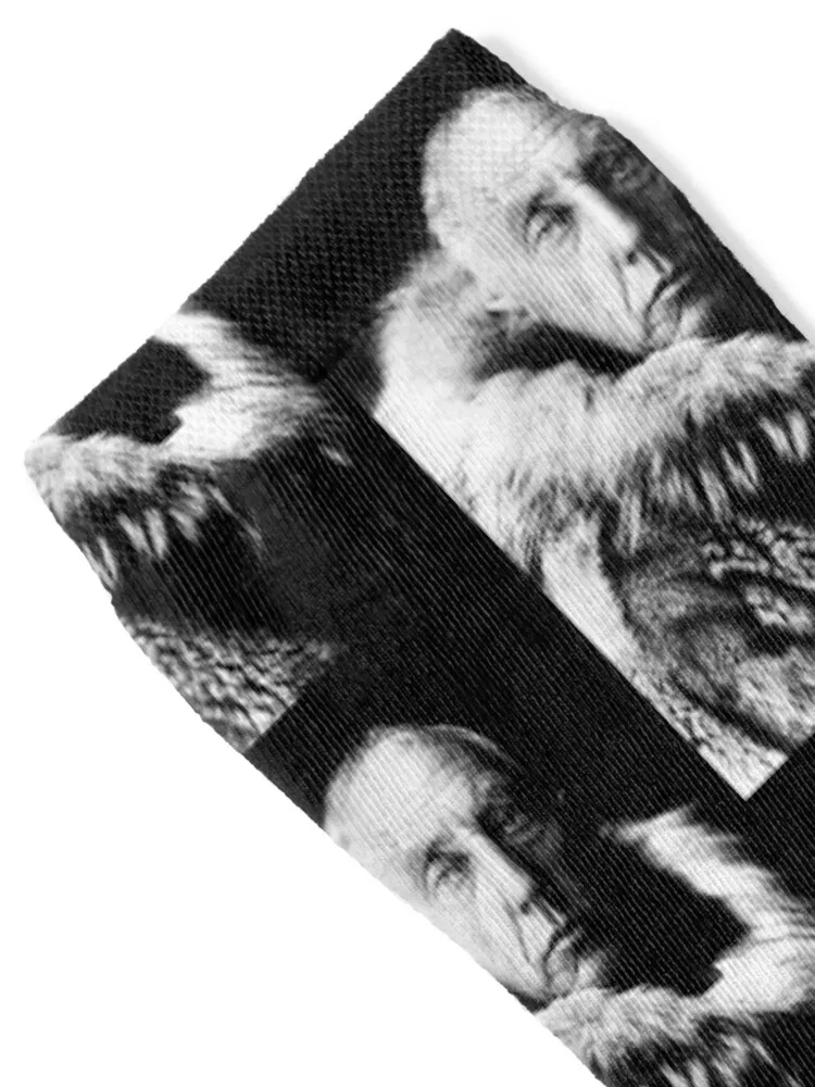 Roald Amundsen Socks cycling loose japanese fashion Men's Girl'S Socks Men's