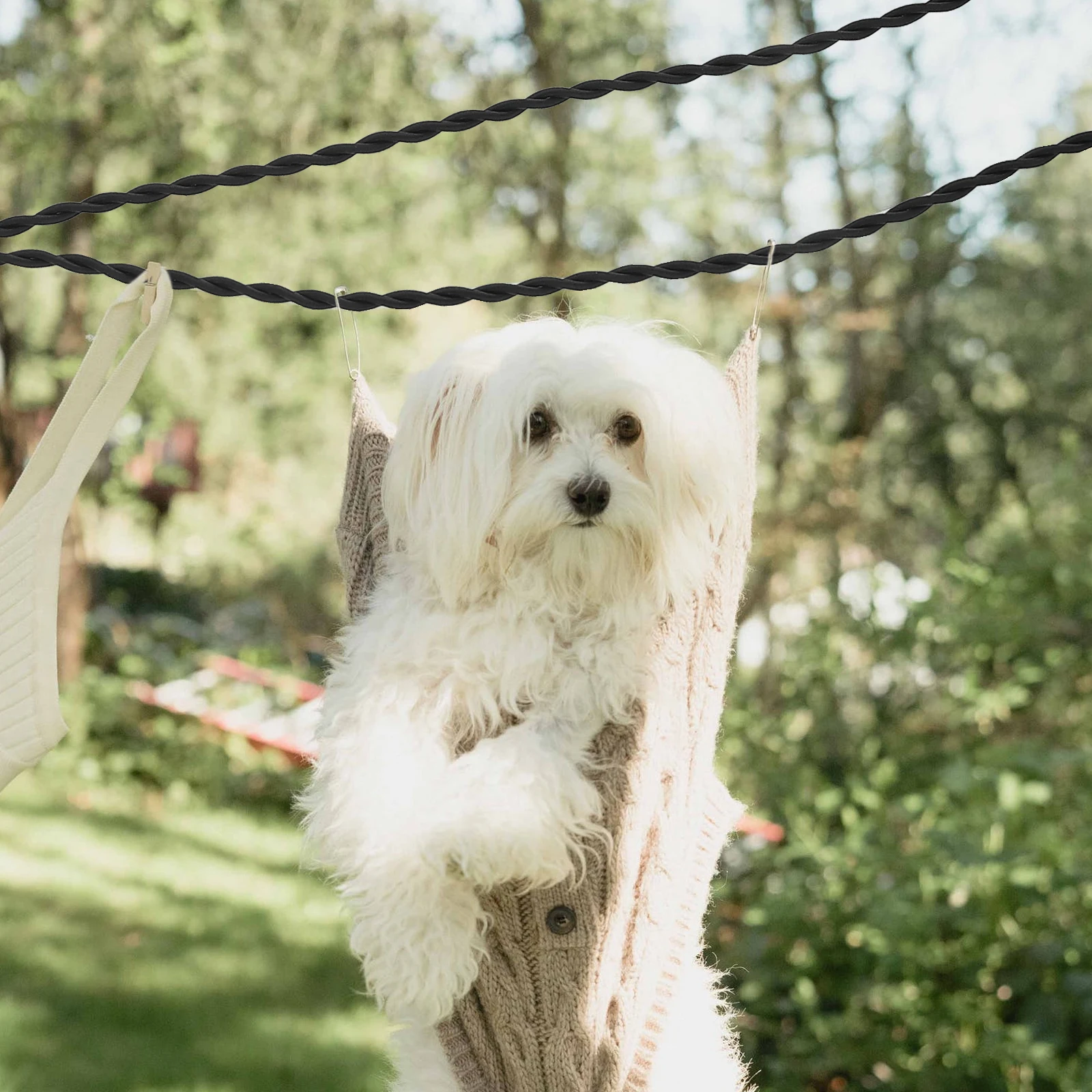 

2Pcs Retractable Clothesline Portable Drying Strap for Outdoor Indoor Camping Hiking Travel Home Use Non-Slip Clothes Drying