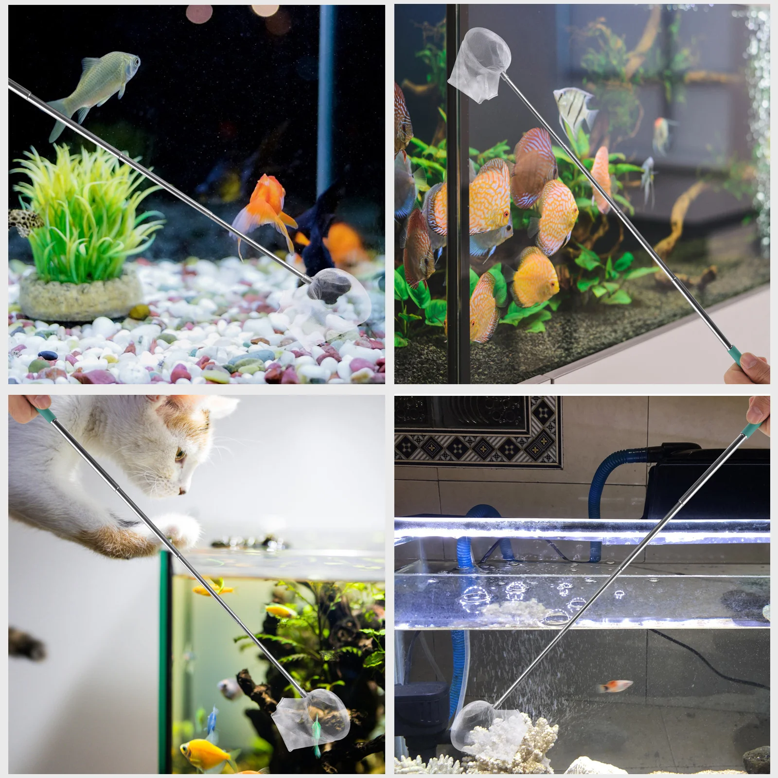 

Telescopic Shrimp Net Foldable Fishing Net Durable Stainless Steel Extendable Practical Tool Aquarium Collapsible Nets Fish
