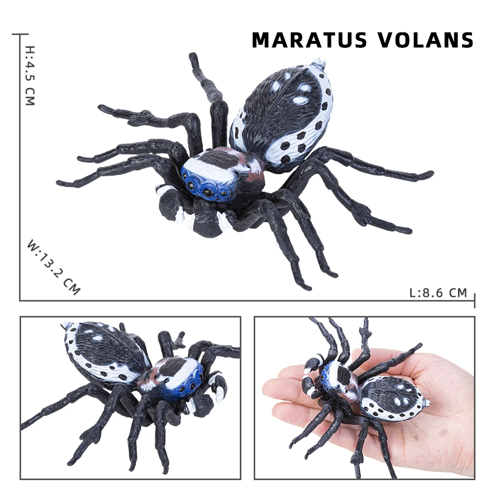Simulation Tiere Insekt Solide Modell Spinne Tarantula Schwarze Spinne Halloween Scary Action-figuren Pädagogisches Spielzeug Für Kinder – Detail 6