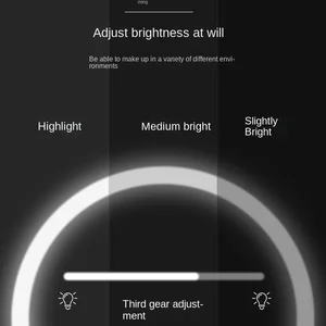12 Hauptverkäufe LED ROUND MIRROR - №12