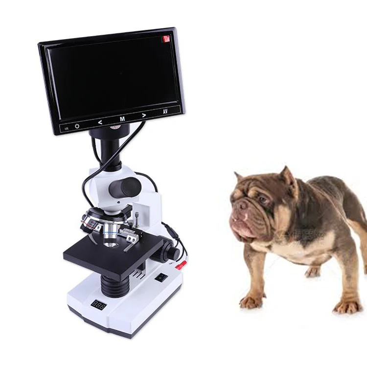 

Portable CE Cinine Sperm Microscope & Dog Animal Semen Microscope