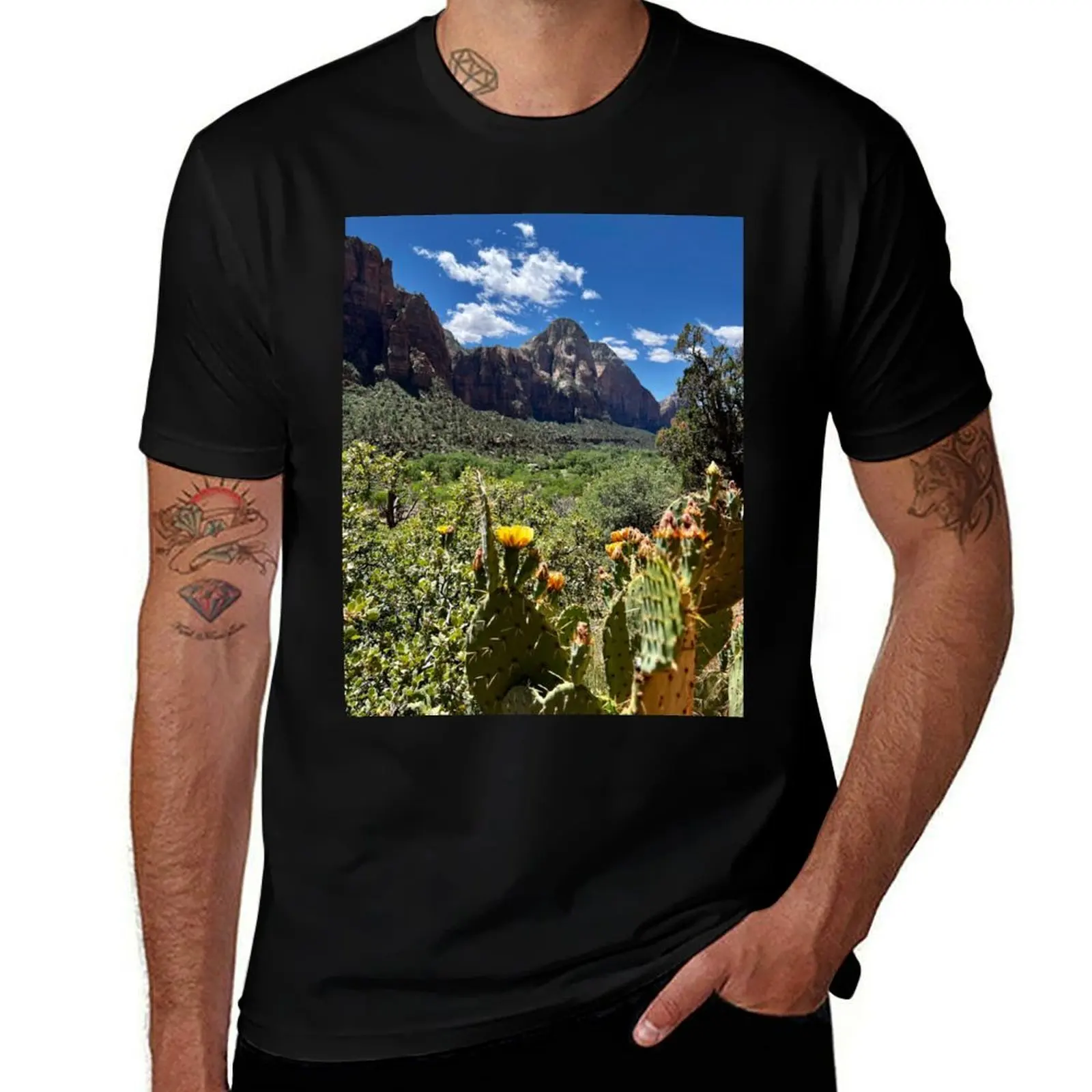 

Футболка Zion National Park, синяя арховая одежда в стиле аниме, мужская дизайнерская одежда